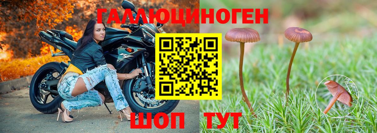 Галлюциногенные грибы Magic Shrooms  где найти   Павловский Посад  Вход с VPN  Псилоцибиновые грибы MAGIC MUSHROOMS 