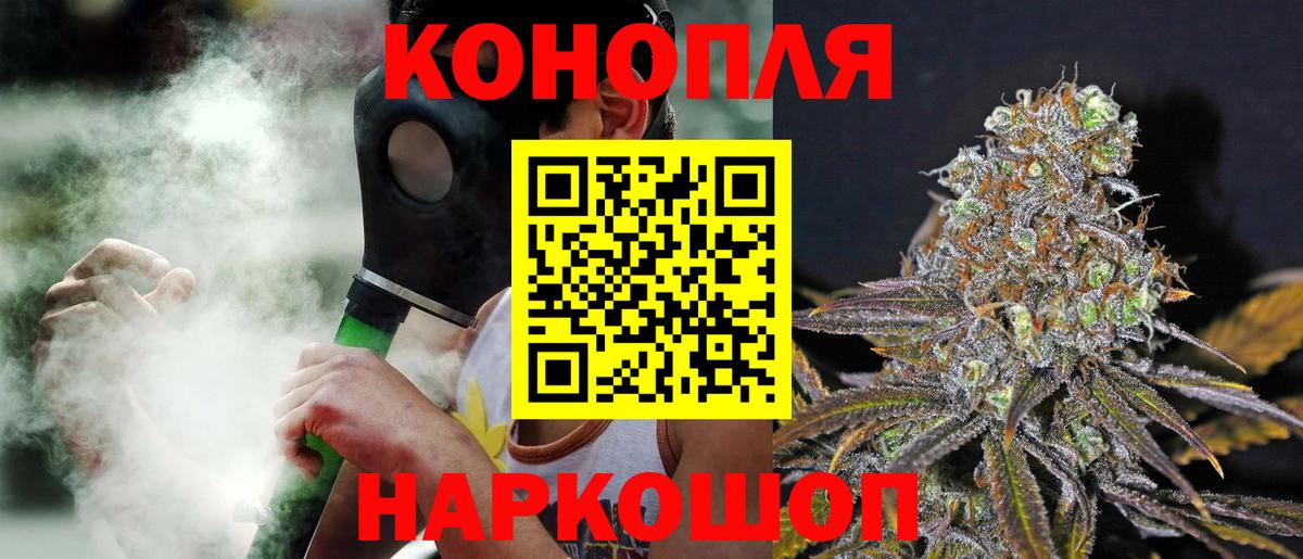 Каннабис сатива Павловский Посад